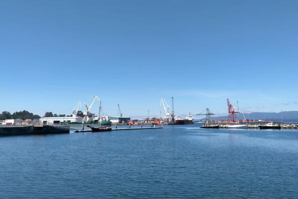 Visita del muelle-pantalán y del muelle Comercial